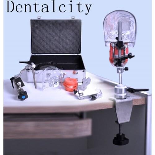 New Dental Phantom Head with Typodont/Dental Phantom Head with Replacement Teeth M1005