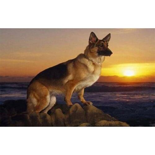 Full Square / Round Drill 5D DIY Diamond Painting Shepherd dog Embroidery Cross Stitch Rhinestones mosaic Home Decor gift GH316