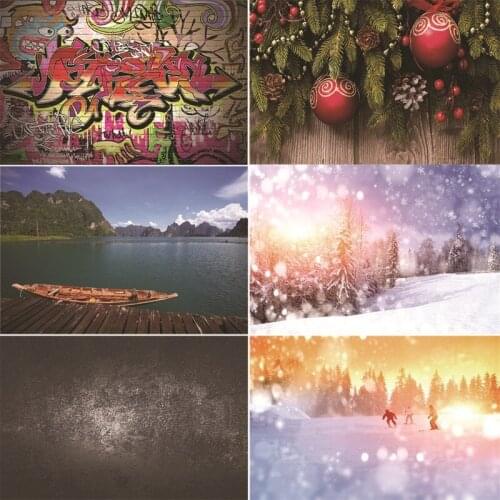 Vinyl Custom Photography Backdrops scenery Photography Background TI200428-02