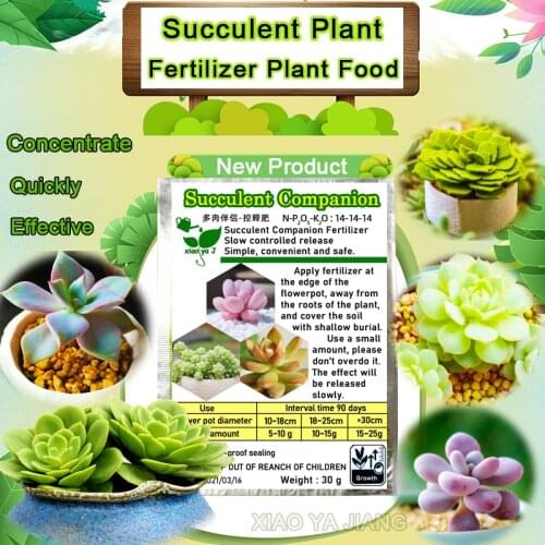 Succulents Bonsai Plant Food Compound Fertilizer medicinal hormone regulators growing recovery aid Garden sufficient nutrient