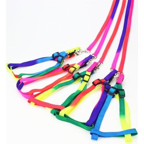 2018 Hot New Dog Pet Adjustable Belt Nylon Pet Cat Dog Kitten Adjustable Colorful Harness Lead Leash Collar Belt Drop Shipping
