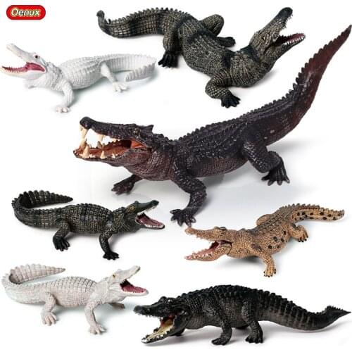 Oenux Original Wild Savage Crocodile Simulation Chinese Alligator Boar Croc Nile Crocodile Action Figures PVC Collection Kid Toy