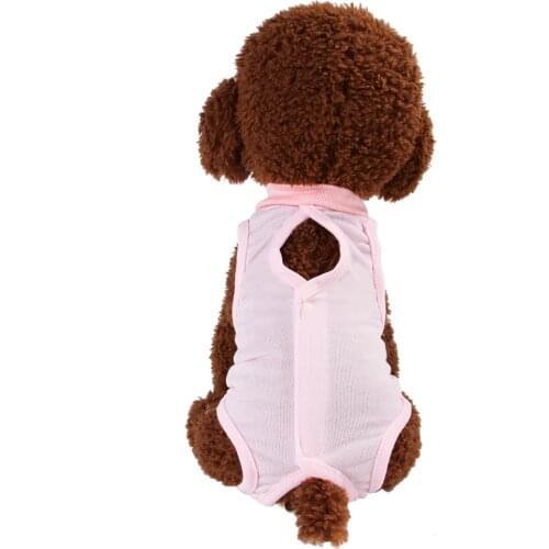 Pet Clothes Cat Weaning Clothing Anti-Bite Surgical Gown Cat Sterilization Clothing Cat Accessories Pet clothes for pets