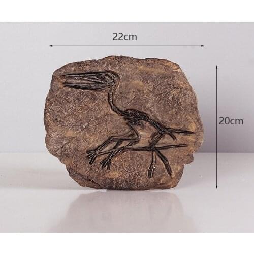 Dragon pterosaur fossil wall decoration Jurassic dinosaur fossil skeleton simulation animal teaching model Kids Gifts Toys
