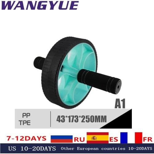 Muscle Exercise Equipment Home Fitness Equipment Double Wheel Abdominal Power Wheel Ab Roller Gym Roller Trainer Training