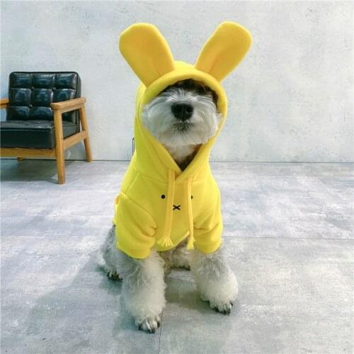 Winter Dog Hoodie Coat Small Dog Clothes Cat Yorkshire Pomeranian Clothing Bichon Frise Poodle Schnauzer Costume Pet Apparel