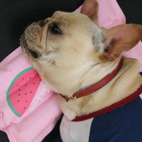 [MPK Store] Dog Cooling Mat, Ice Pad for Dog & Cat, Pet Cushion, Summer Cooling Bed Gel, Cooling Mat For Dogs