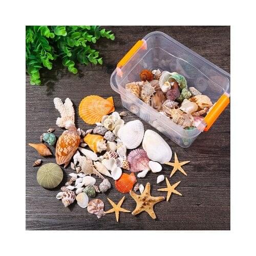 One Box of Mixed Natural Shells, Conch, Starfish, Fish tank landscaping decoration, Photography background props