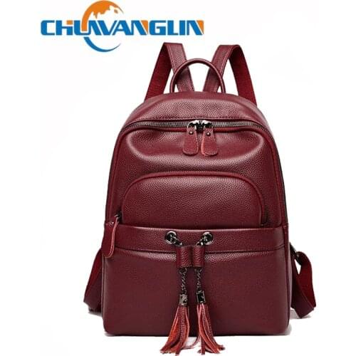 Chuwanglin Ladies Backpack Fashion Tassel Design Women Travel Bags Double Zipper Womens Anti-theft Backpack Bolsa 5051532