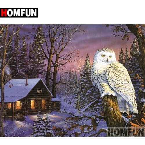 HOMFUN 5D DIY Diamond Embroidery Full Display "House owl scenery" Diamond Painting Square/Round Rhinestones Decor Art A27590