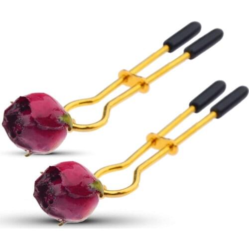 Nipple Clamps SM Fetish Toys Sex Toys Rose Nipple Pendant
