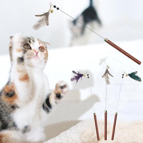 Pet Cat Kitten Teaser Beads Bell Feather Playing Steel Wire Stick Wand Chew Toy