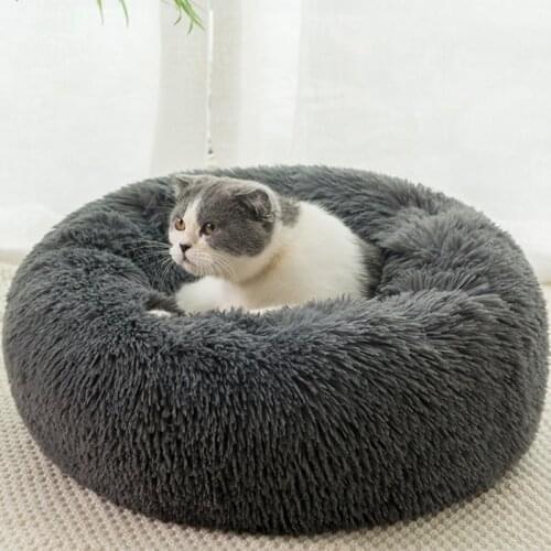 Cat Pillows HomeJSDH China