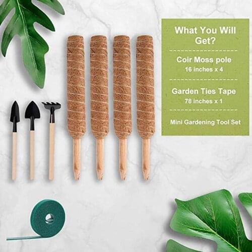 Moss Pole For Climbing Plants Plant Support Pole Coir Moss Stick For Plant Support Extension Climbing Plants