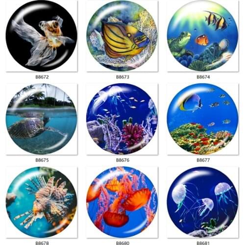 10pcs Fish ocean Jellyfish 12mm/18mm/20mm/25mm Round photo glass cabochon demo flat back Making findings B8670