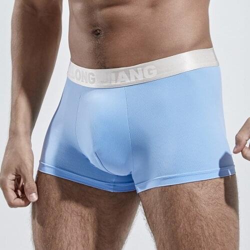 Ice Silk Underwear Mens Boxers Men Boxer Shorts Sexy Underpants Man Male Lingerie Underware Good Quality Boxershorts