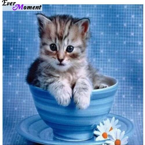 Diamond embroidery diy diamond painting cross stitch cat in Cup diamond pasted painting home decor wall sticker gift ASF483