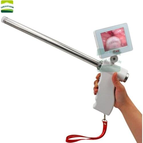 PIG artificial insemination COW visual endoscope sperm gun Without technology insemination device vas deferens no cow manure