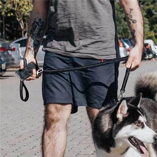 New Dog Leash Retractable Fashion Reflective Adjustable Car Seat Belt Leashes Pet Product for Medium and Large Dog Collar Leash