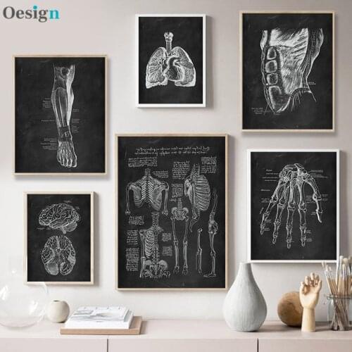 Funny human anatomy poster medical wall picture skeleton organ muscle system vintage poster canvas print human education drawing