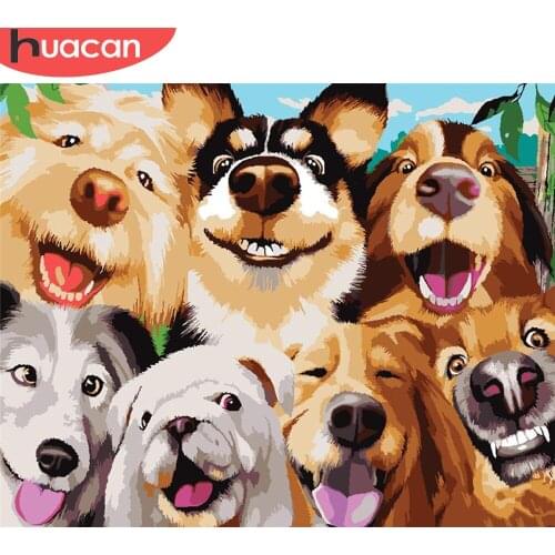 HUACAN DIY Pictures By Number Dog Kits Hand Painted Paintings Art Painting By Numbers Animal Drawing On Canvas Gift Home Decor