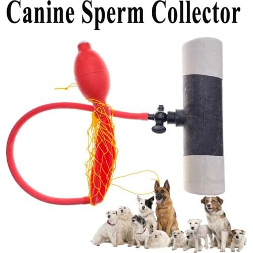 1SET Dog Pet Semen Collection Kit Canine Sperm Collector Artificial Insemination Plastic Rubber Inner Tube Pomeranian Bulldog