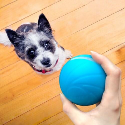 Wickedball Wicked Ball New Product Best Sale Durable Pet Interactive Chew Toy Set Dog And Cat Toy