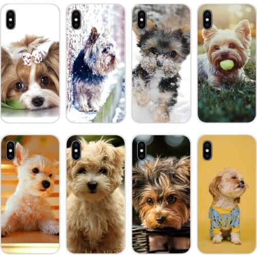 Yorkshire Terrier Puppy Dogs animal For Apple iPhone X XR XS 11 12Pro MAX 4S 5S 5C SE 2020 6S 7 8 Plus ipod 5 6 Phone Skin Cover