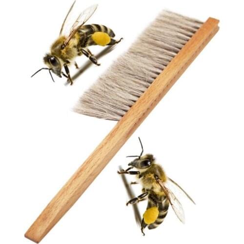 Wood Beekeeping Tools Wood Honey Brush Wasp bee Sweep Two Rows Of Horse Tail Hair New Bee Brush Beekeeping Equipment
