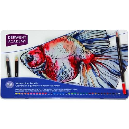 Derwent Water Soluble Colour Pencil Filled Childrens Art Painting Colour Lead Hand Painted Set of 36 Colour
