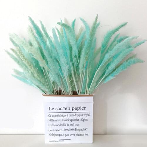 15PCS Natural Dried Reed Grass Dried Reed Flower dried Flowers Bouquet Small Pampas Grass Phragmites DIY Wedding Decoration