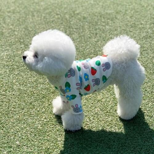 INS Korean Cute Dog Clothes Rabbit Strawberry Cotton Warm Dog Jacket Coat T-shirt For Puppy Small Medium Dogs Chihuahua Outfit