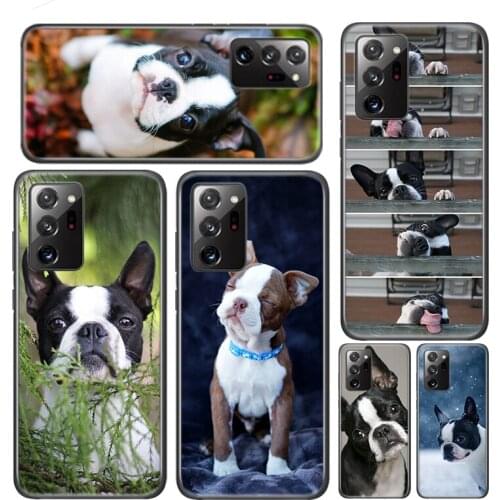 Cute Pet Bulldog Silicone Cover For Samsung Galaxy A01 A11 A12 A21 A21S A31 A41 A42 A51 A71 A81 A91 UW Phone Case