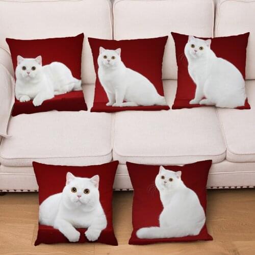 Cute British Shorthair Cat Print Cushion Cover 45*45 Super Soft Short Plush Pillow Cases Home Decor Pillowcase For Car Sofa