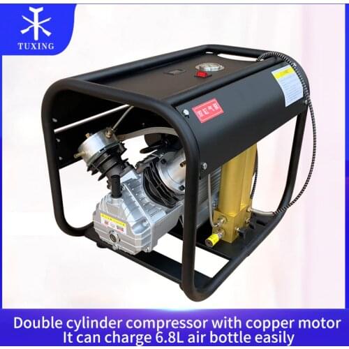 4500PSI Double Cylinder PCP High Pressure Air Compressor with Double Filter Oil Water Separator for Air Rifle Gun Tank Diving