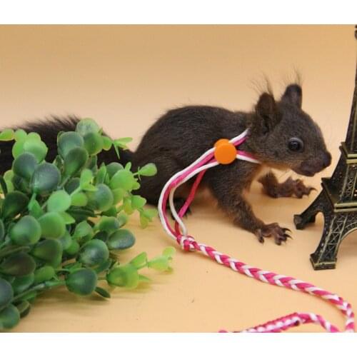 1.4M Adjustable Pet Hamster Leashes Gerbil Pet Cage Leash Cotton Rope Harness Lead Collar for Rat Mouse Hamster Pet Supplies