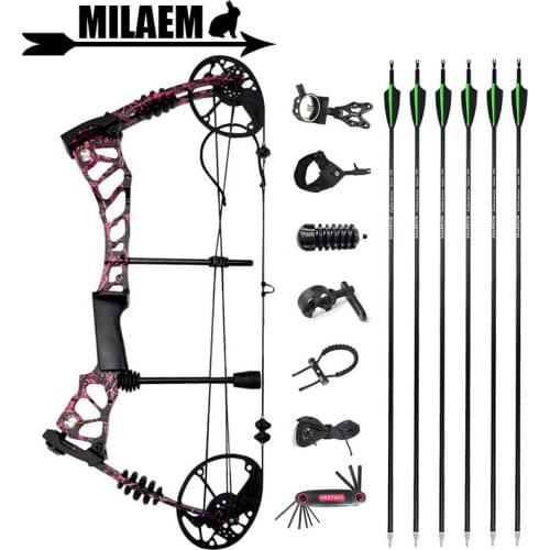 40-60lbs Archery Compound Bow Arrow Set Carbon Arrow Bow Sight Stabilizer Arrow Rest Hunting Target Shooting Accessories