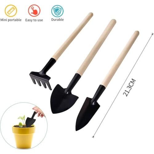 JUANJUAN Houseplant Seeds