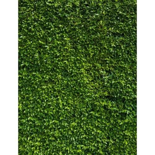 TR green grass wall wedding photographic backgrounds vine lawn leafy green screen newborns vinyl backdrops photocall baby shower