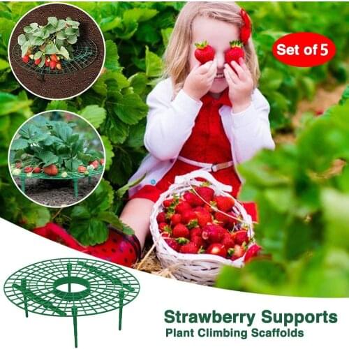 Strawberry Supports Raises Plants and Berries Off The Ground Easy to Install Planting and Gardening Supports, Set of 5