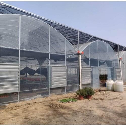 Multi-span Plastic Film Greenhouse