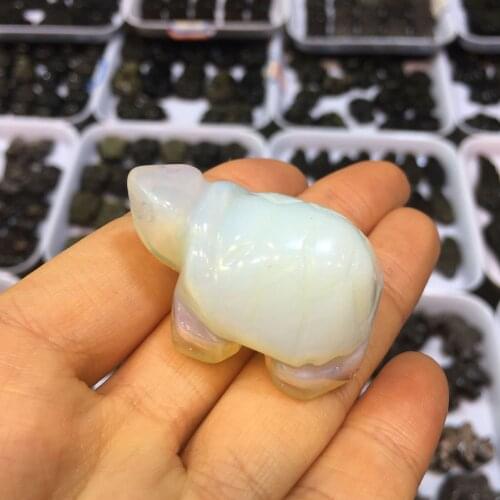 1pcs Tortoise Sandy Beach Animal Sea Turtle Malaysia Saudi Arabia Japan Model Small Figurine Crafts Home DIY Ornament