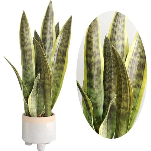 Artificial Green Plants Plastic Fake Flowers 4 Leaf Sansevieria Colorful And Fresh Easy Caring Suitable For Home Decoration