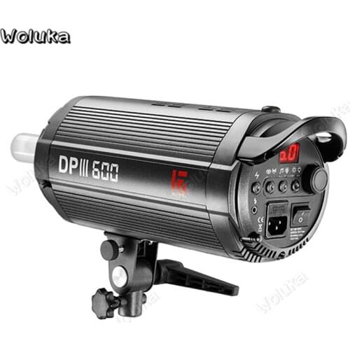 Flash DPIII-600 professional studio lamp flashlight photographic lamp wedding photo advertising shooting CD50 T10