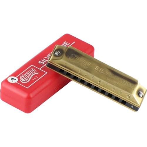 Huang 10 Holes 20 Tone Diatonic Blues Harmonica A Key Mouth Organ with Case For Beginner