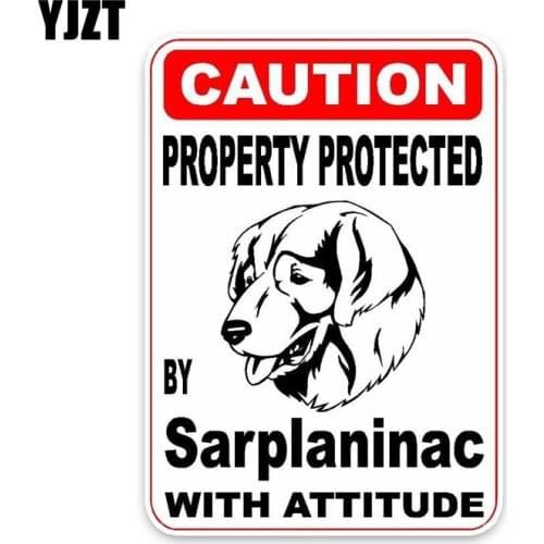 YJZT 10*14.2CM Property Protected By Sarplaninac Dog PVC Car High Quality Sticker Decoration Graphic C1-4555