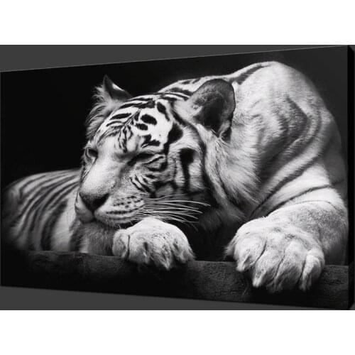 White Tiger Canvas Painting on The Wall Wild Animals Posters and Prints Wall Art Decorative Pictures for Living Room Home Decor