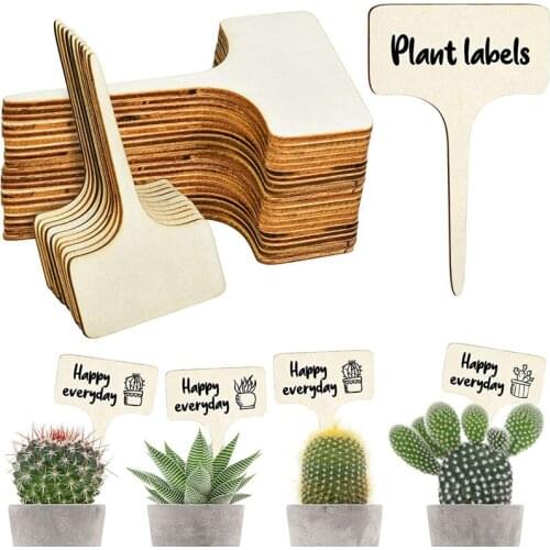 50Pcs Plant Tags Brands Succulents Plants T-Shaped Tags Board Wood Green Plants Flowers Tags Stands Garden Nursery Accessories