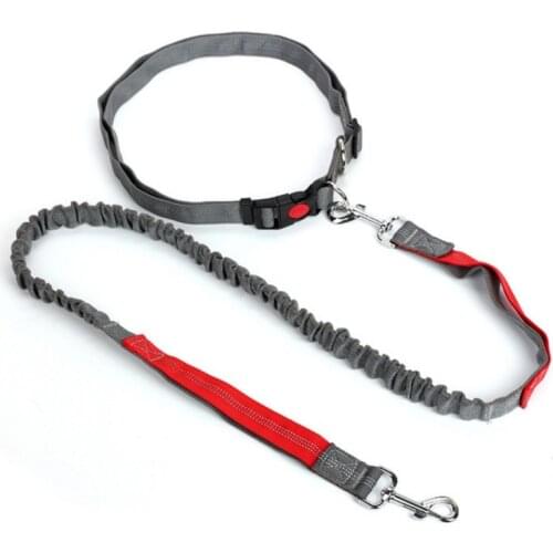 Night Reflective Elastic Nylon Breakaway Leashes Running Hand Free Waist Belt Jogging Leads Retractable Leash For Small Pet Dogs