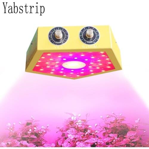 New Design LED plant grow light lamp dimmable 1000W COB full Spectrum fitolampy for indoor seeding flower vegetable phyto lamp